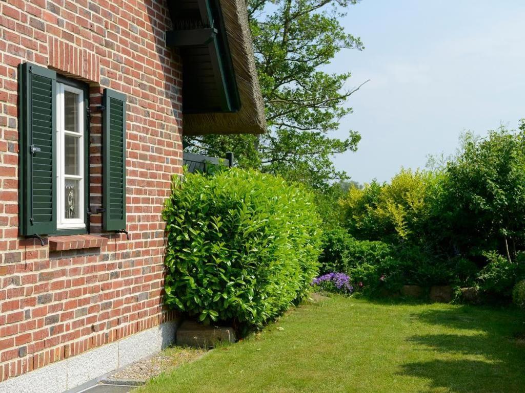 Wildrose Ferienhaus 볼텐하겐 외부 사진
