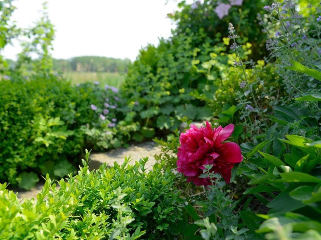 Wildrose Ferienhaus 볼텐하겐 외부 사진